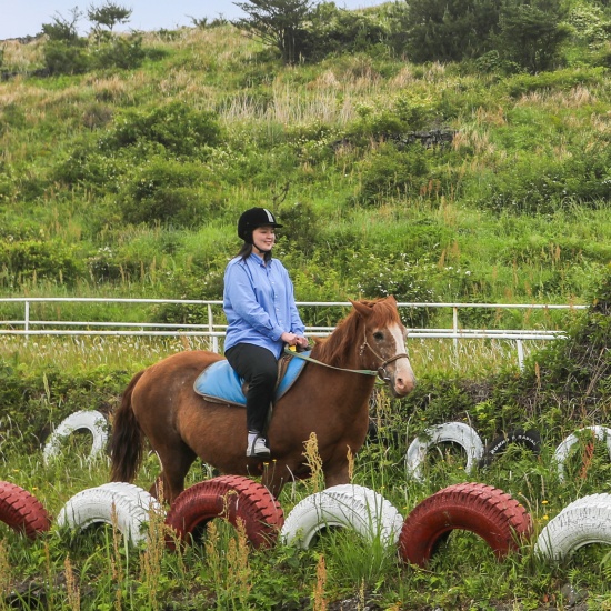 뷰 제주하늘 승마 기본코스+다이나믹메이즈 부스트업