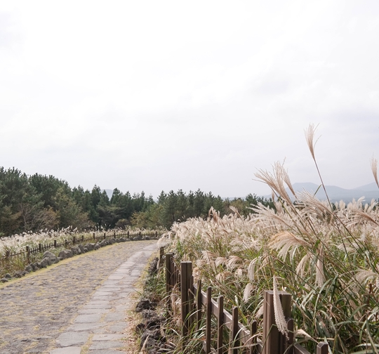 산굼부리+메이즈랜드